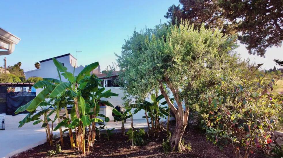Villa Mare Blue Sr Nuovissima Villa 150M Dal Mare Adatta A Bambini Terrauzza Kültér fotó